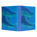 Pair of Sharks Binder