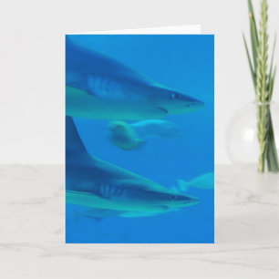 Pair of Sharks Note Cards