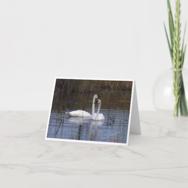Pair of Swans ~ Birds of a Feather Letterpress Thank You Card (Front)