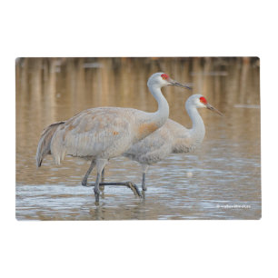 Pair of Wading Greater Sandhill Cranes Birds Placemat