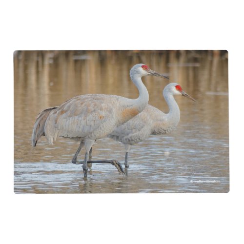 Pair of Wading Greater Sandhill Cranes Birds Placemat