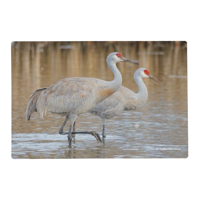 Pair of Wading Greater Sandhill Cranes Birds Placemat (Front)