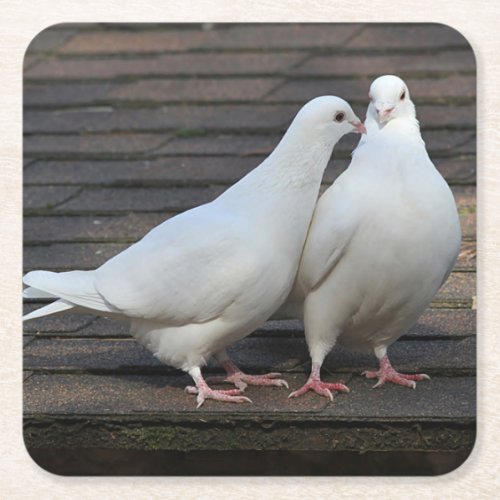 Pair of White Doves Square Paper Coaster