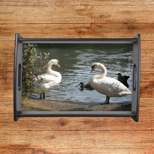 Pair of White Swans Photo Serving Tray