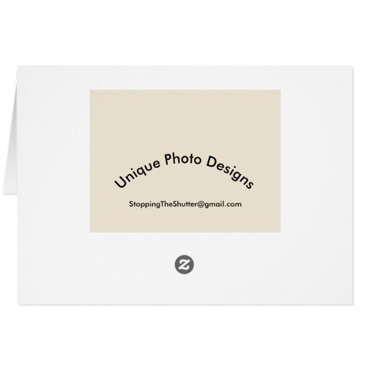 Pair of Wild Horses (Back Horizontal)