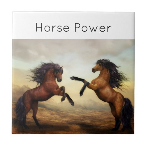 pair of wild horses  ceramic tile