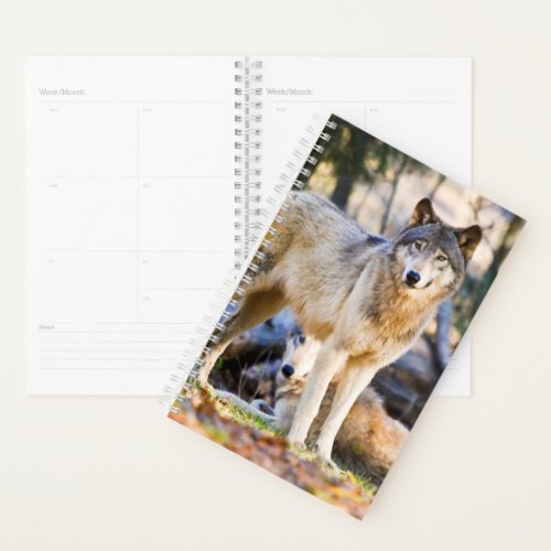 Pair of Wolves Planner