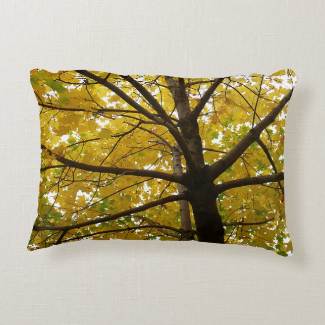 Pair of Yellow Maple Trees Autumn Nature Accent Pillow (Back)