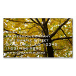 Pair of Yellow Maple Trees Autumn Nature Business Card Magnet