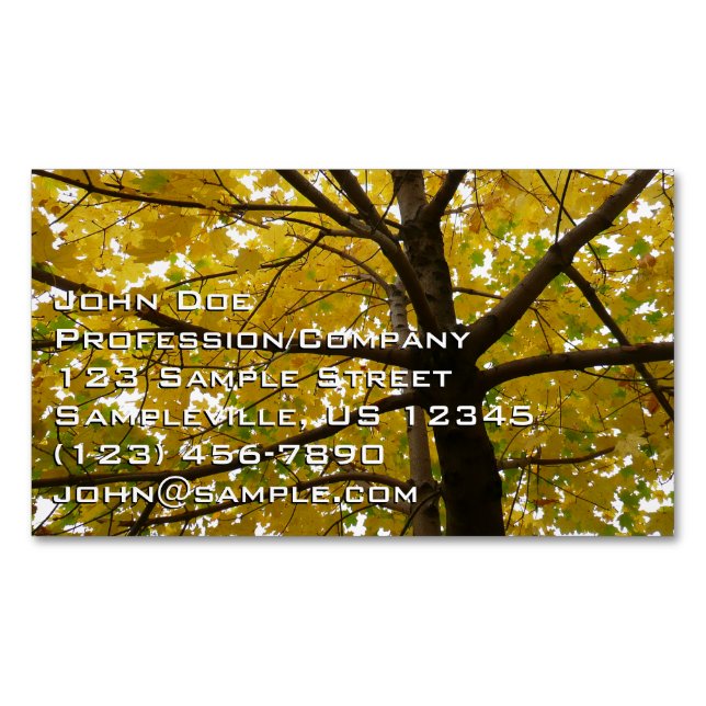 Pair of Yellow Maple Trees Autumn Nature Business Card Magnet (Front)