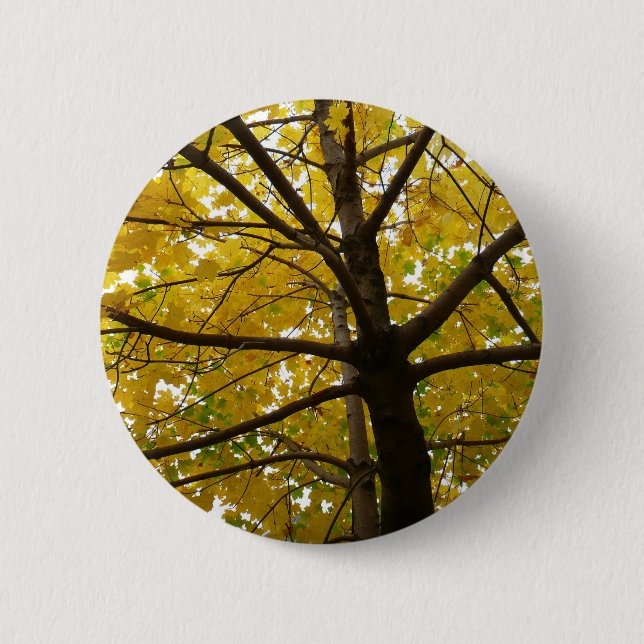 Pair of Yellow Maple Trees Autumn Nature Button (Front)