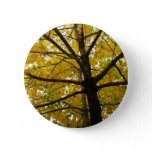 Pair of Yellow Maple Trees Autumn Nature Button