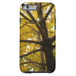 Pair of Yellow Maple Trees Autumn Nature Tough iPhone 6 Case