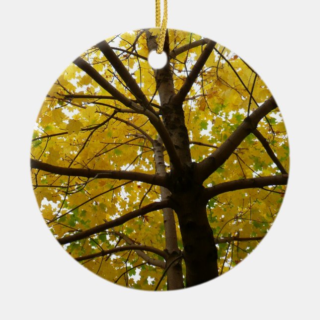 Pair of Yellow Maple Trees Autumn Nature Ceramic Ornament (Front)