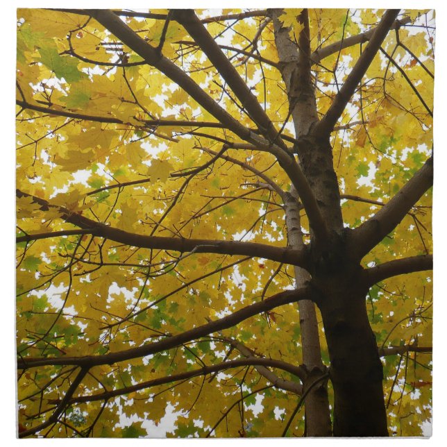 Pair of Yellow Maple Trees Autumn Nature Cloth Napkin (Front)
