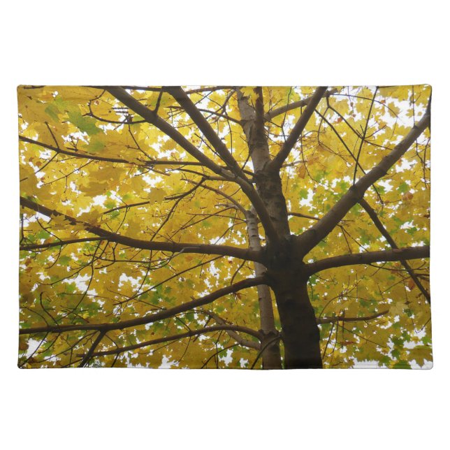 Pair of Yellow Maple Trees Autumn Nature Cloth Placemat (Front)