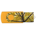 Pair of Yellow Maple Trees Autumn Nature Flash Drive
