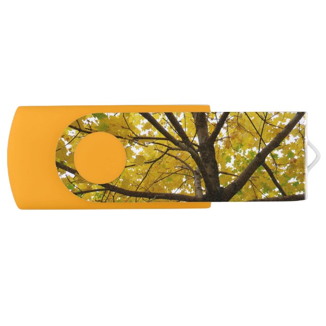 Pair of Yellow Maple Trees Autumn Nature Flash Drive (Front)