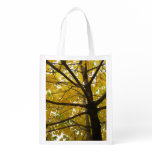 Pair of Yellow Maple Trees Autumn Nature Grocery Bag