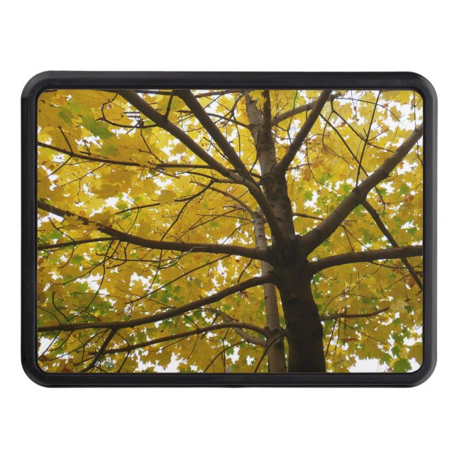 Pair of Yellow Maple Trees Autumn Nature Hitch Cover (Front)