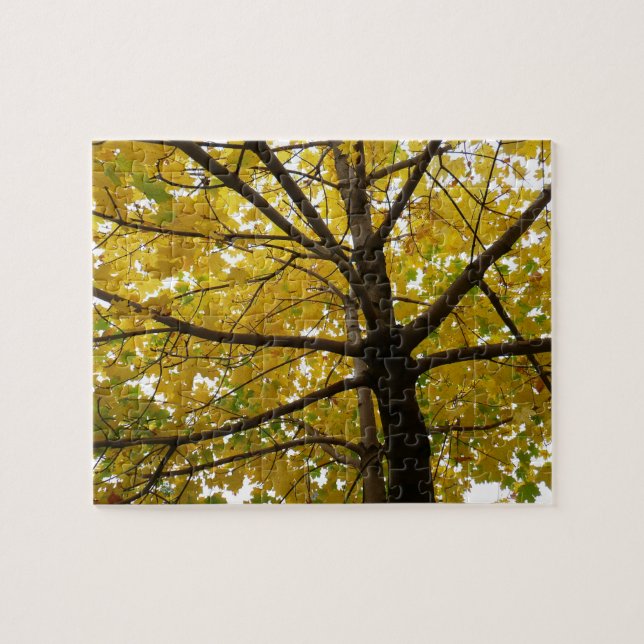 Pair of Yellow Maple Trees Autumn Nature Jigsaw Puzzle (Horizontal)