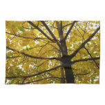 Pair of Yellow Maple Trees Autumn Nature Kitchen Towel