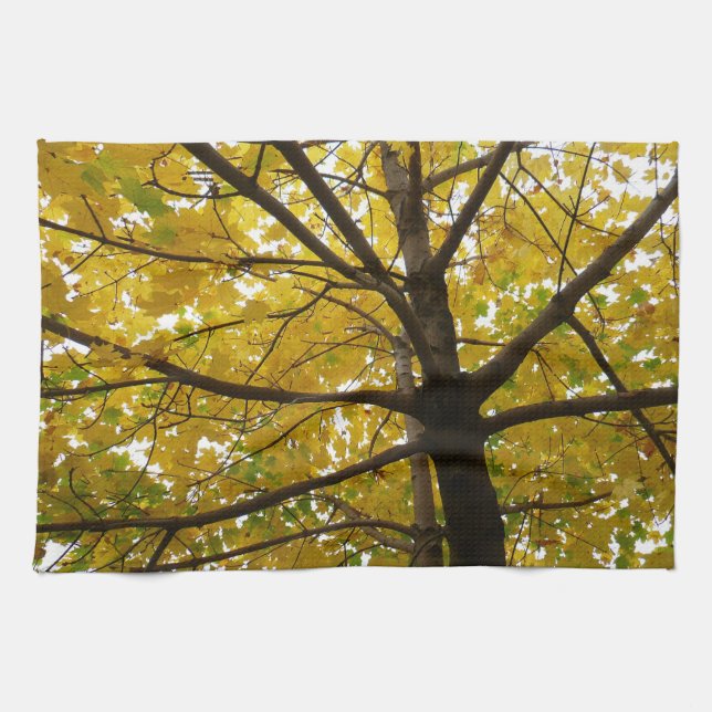 Pair of Yellow Maple Trees Autumn Nature Kitchen Towel (Horizontal)