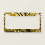 Pair of Yellow Maple Trees Autumn Nature License Plate Frame