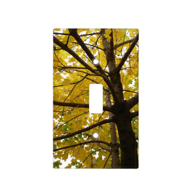 Pair of Yellow Maple Trees Autumn Nature Light Switch Cover (Front)