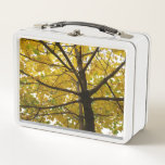 Pair of Yellow Maple Trees Autumn Nature Metal Lunch Box