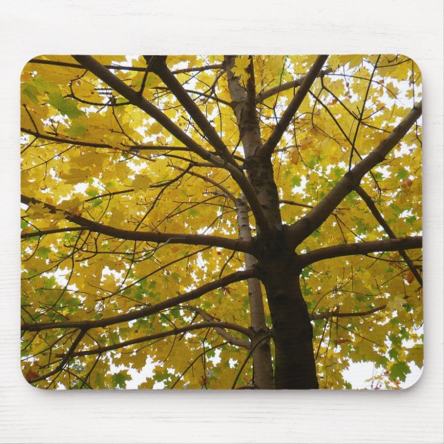 Pair of Yellow Maple Trees Autumn Nature Mouse Pad (Front)