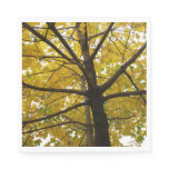 Pair of Yellow Maple Trees Autumn Nature Napkins