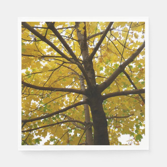 Pair of Yellow Maple Trees Autumn Nature Napkins (Front)