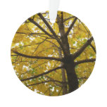 Pair of Yellow Maple Trees Autumn Nature Ornament