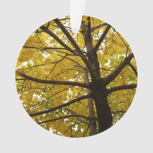 Pair of Yellow Maple Trees Autumn Nature Ornament (Front)