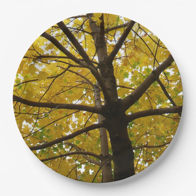 Pair of Yellow Maple Trees Autumn Nature Paper Plates (Front)