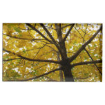 Pair of Yellow Maple Trees Autumn Nature Place Card Holder