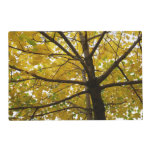Pair of Yellow Maple Trees Autumn Nature Placemat
