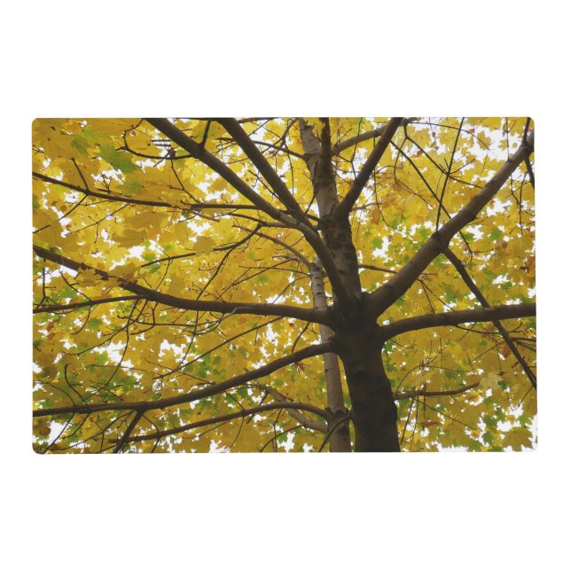 Pair of Yellow Maple Trees Autumn Nature Placemat (Front)