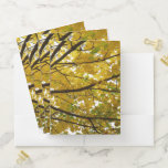 Pair of Yellow Maple Trees Autumn Nature Pocket Folder