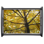 Pair of Yellow Maple Trees Autumn Nature Serving Tray