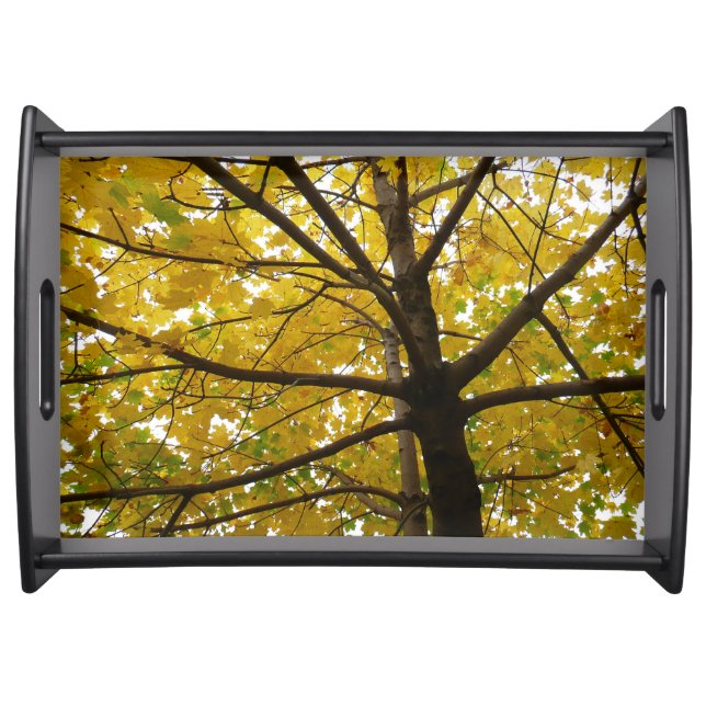 Pair of Yellow Maple Trees Autumn Nature Serving Tray (Front)