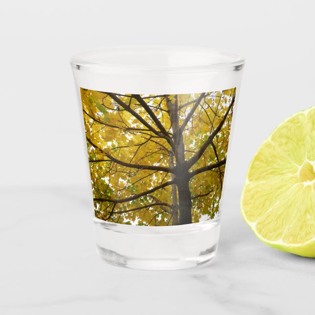 Pair of Yellow Maple Trees Autumn Nature Shot Glass (Front)