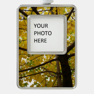 Pair of Yellow Maple Trees Autumn Nature Silver Plated Framed Ornament