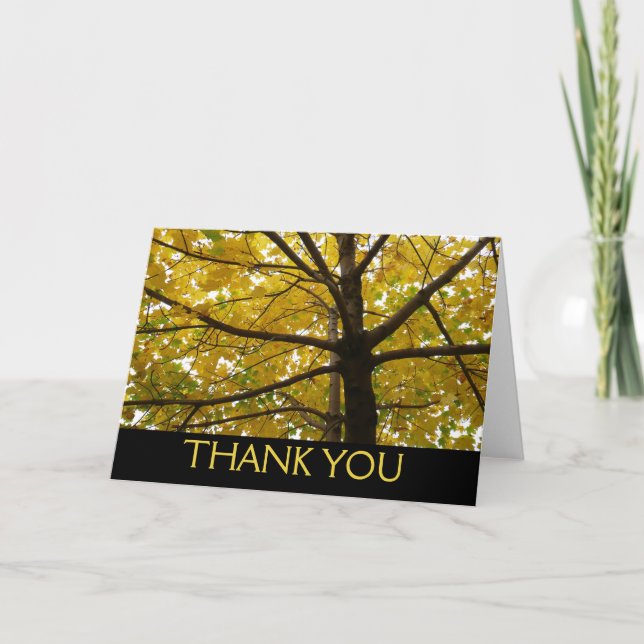 Pair of Yellow Maple Trees Autumn Nature Thank You Card (Front)