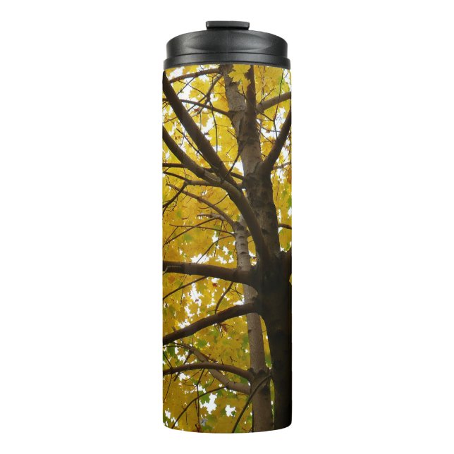 Pair of Yellow Maple Trees Autumn Nature Thermal Tumbler (Front)