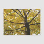Pair of Yellow Maple Trees Autumn Nature Tissue Paper