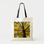 Pair of Yellow Maple Trees Autumn Nature Tote Bag