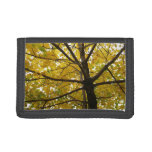Pair of Yellow Maple Trees Autumn Nature Trifold Wallet