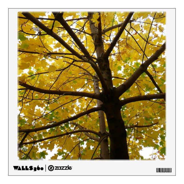 Pair of Yellow Maple Trees Autumn Nature Wall Decal (Front)